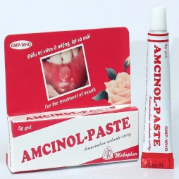 Amcinol - Paste Gel 5g - Thuốc điều trị viêm và loét ở miệng của Mekophar