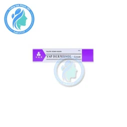 YSP Dermosol Cream 10g - Thuốc điều trị các bệnh lý ngoài da hiệu quả
