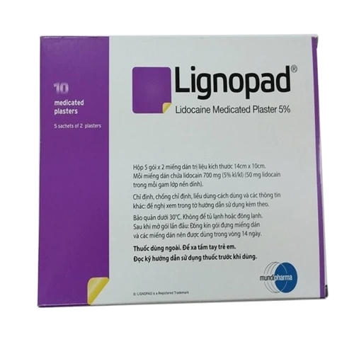 Lignopad Medicated Plaster 5% - Miếng dán hỗ trợ giảm đau