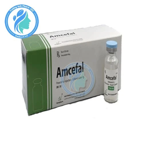 Amcefal 2g - Thuốc điều trị nhiễm khuẩn của Amvipharm