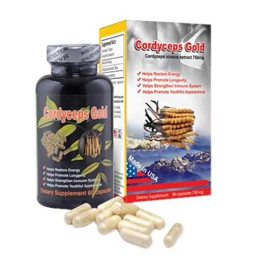 Cordyceps Gold 750mg - Hỗ trợ tăng cường khí huyết