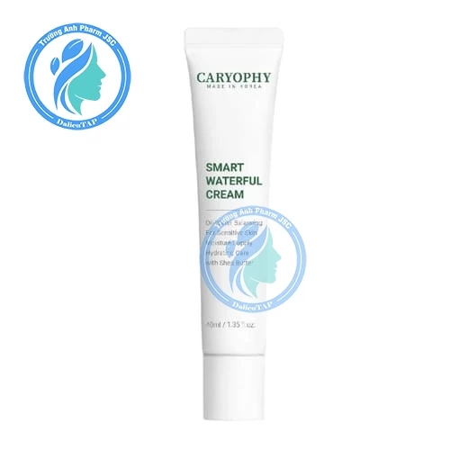 Kem Dưỡng Caryophy Smart Waterful Cream 40ml