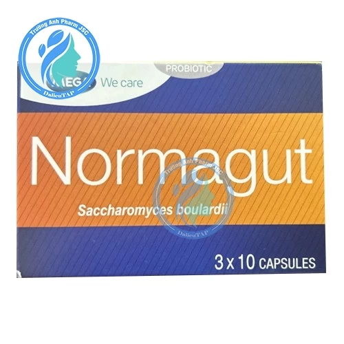 Normagut - Hỗ trợ điều trị trong phác đồ diệt trị H. Pylori