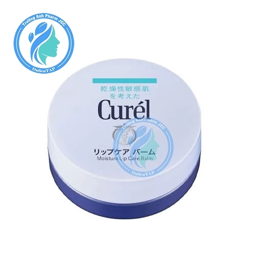 Sáp Dưỡng Curel Dưỡng Môi 4,2g