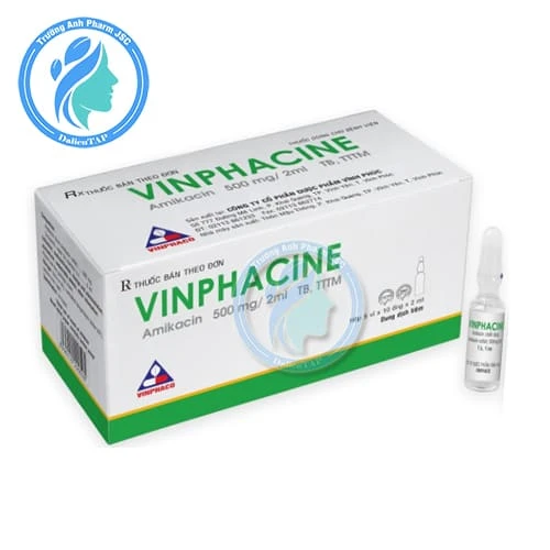 Vinphacine 500mg/2ml - Thuốc điều trị nhiễm khuẩn hiệu quả