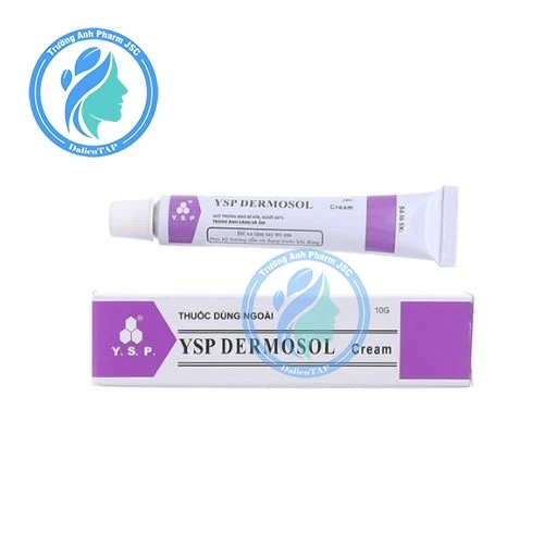 YSP Dermosol Cream 10g - Thuốc điều trị các bệnh lý ngoài da hiệu quả