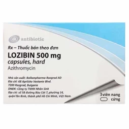 Lozibin 500mg Balkanpharma - Thuốc chống viêm